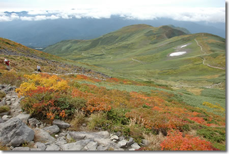 �j�b�R�E�L�X�Q�i���R�ɂāj